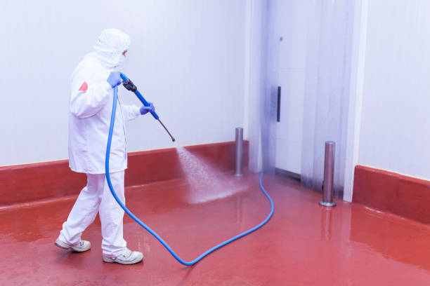 Best Post-Construction Pressure Washing  in Lake Erie Beach, NY